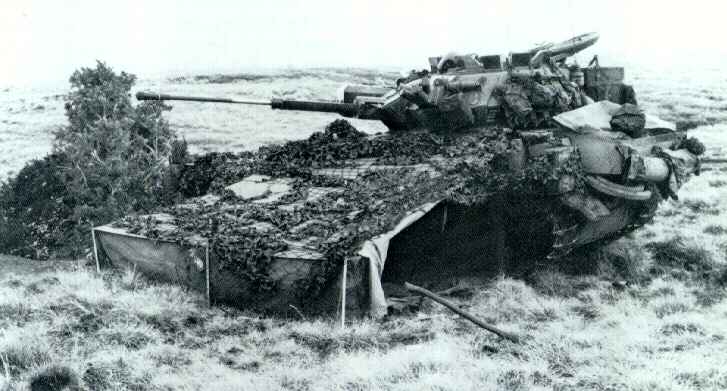 01 Scimitar camuflado en Bluff Cove.jpg