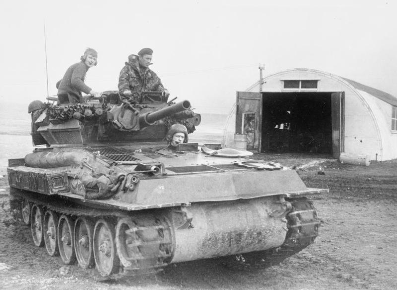 falkland scorpion 2.jpg